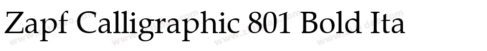 Zapf Calligraphic 801 Bold Italic BT字体转换